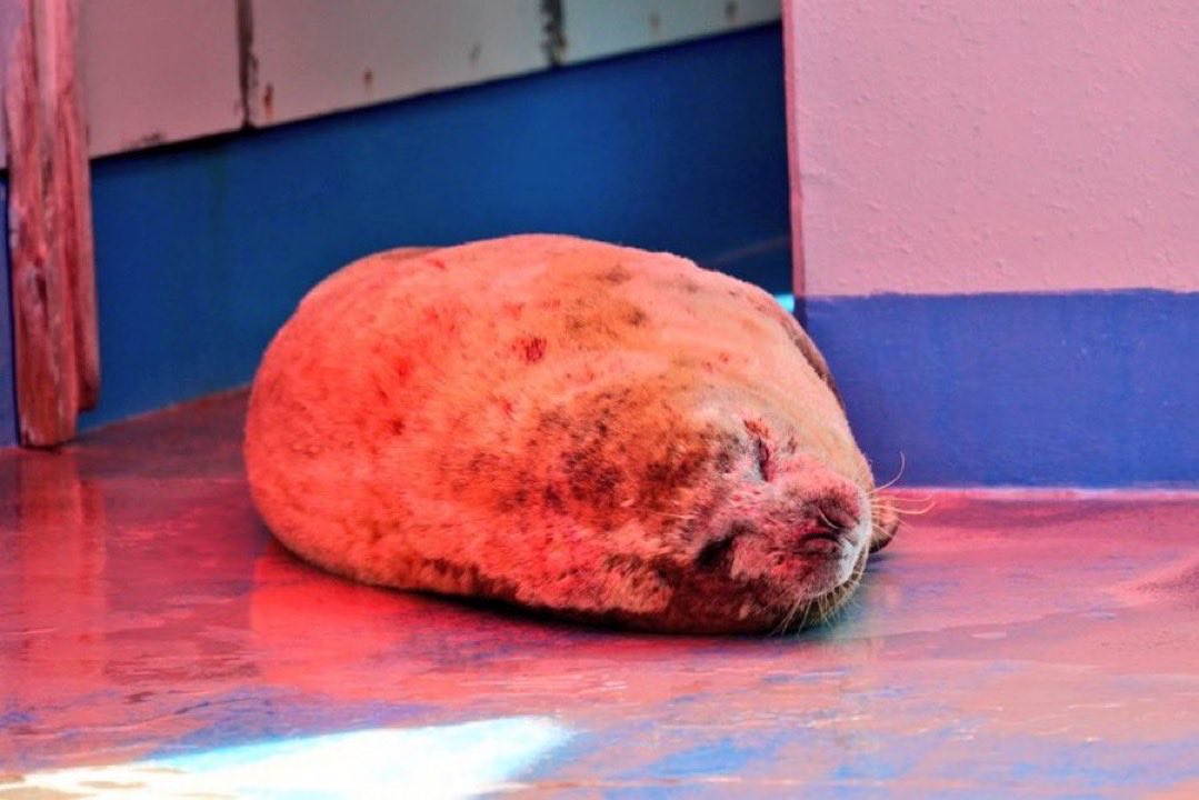 Sage ‼️‼️‼️‼️ tweet media