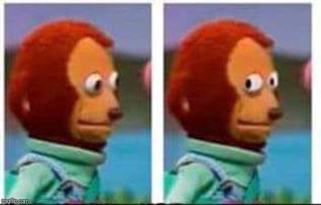 Greg Cello tweet media