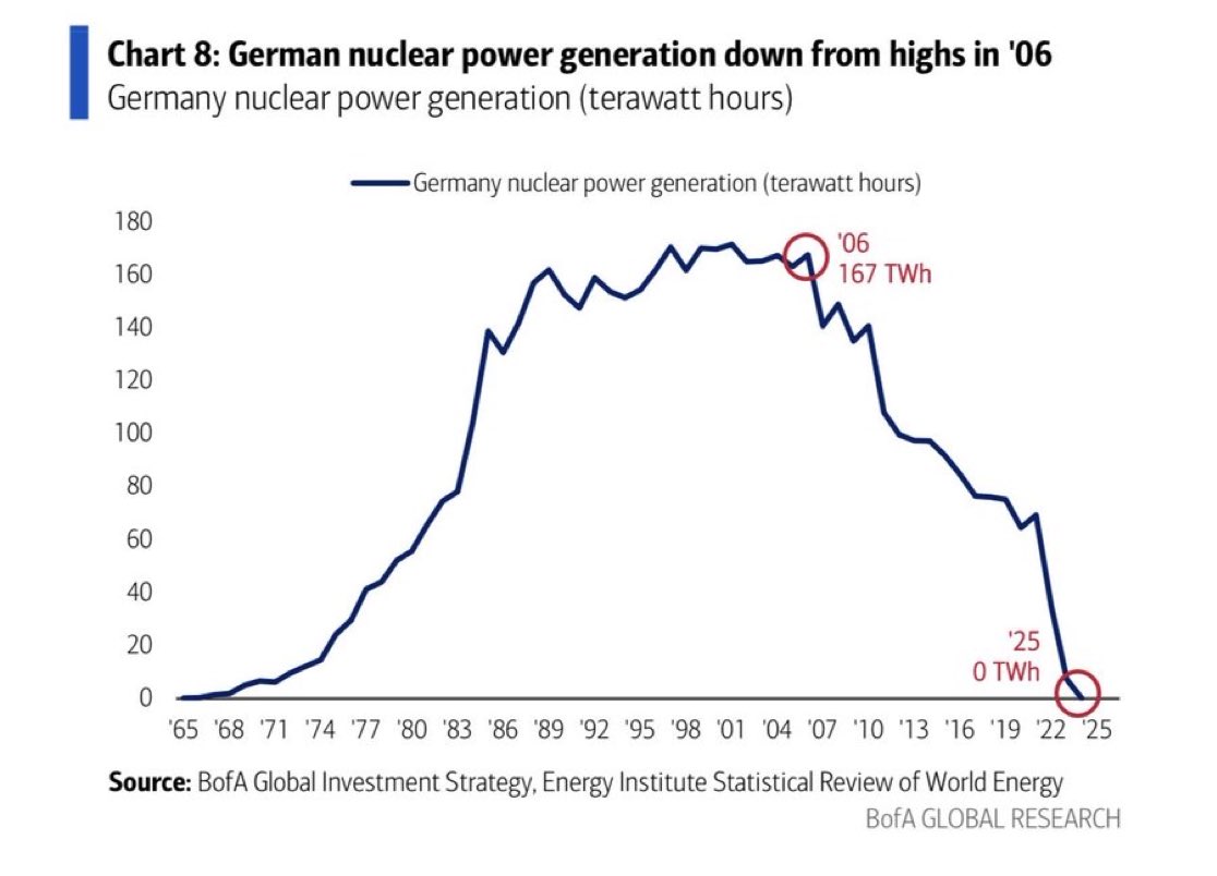 Marshmallow Capital tweet media