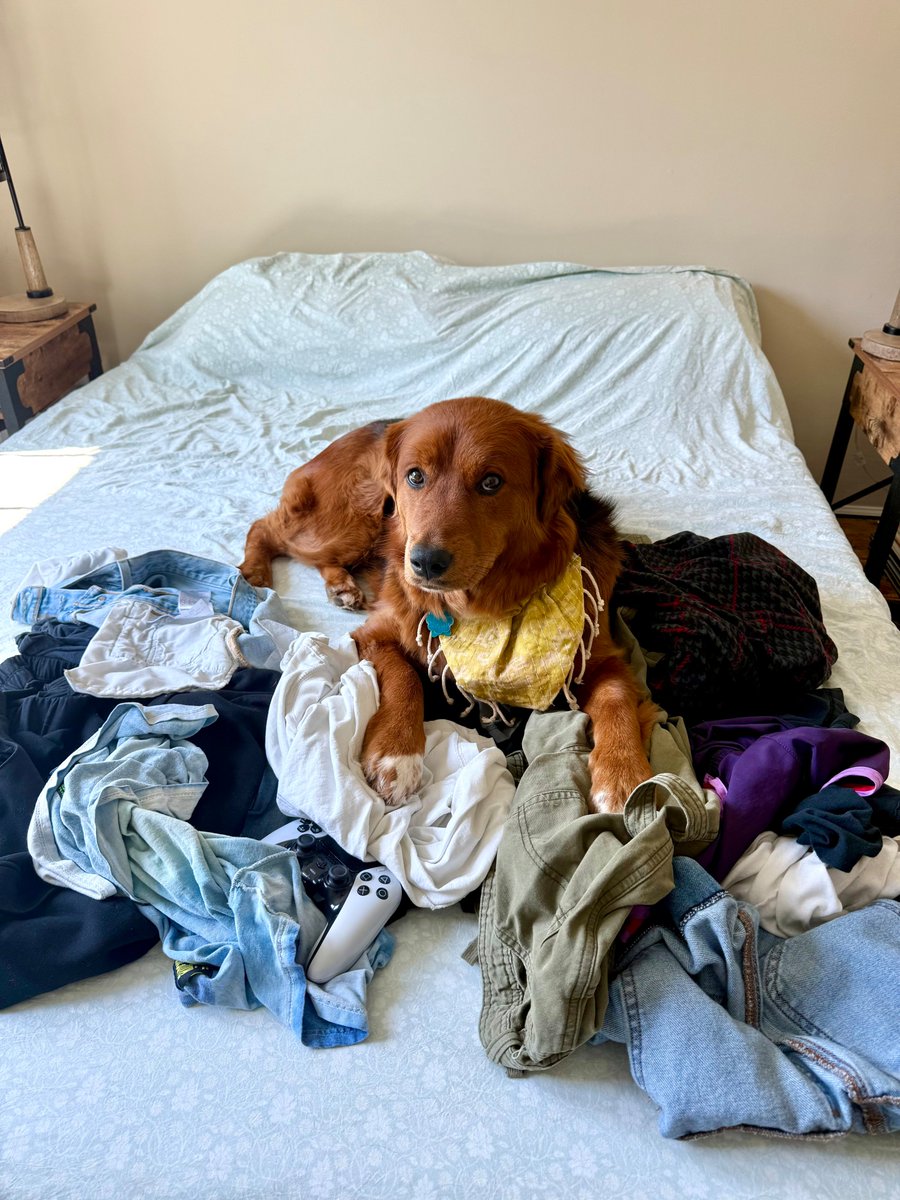 Mother D. Pooty tweet media