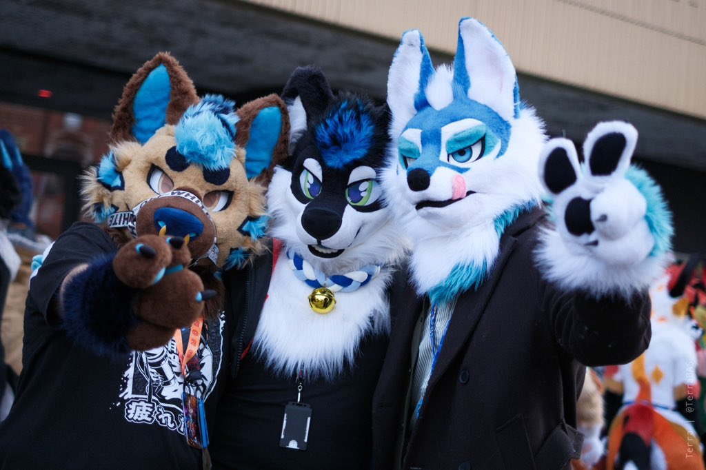 Ryn̄ 🔜 PAWSKE, FWA tweet media