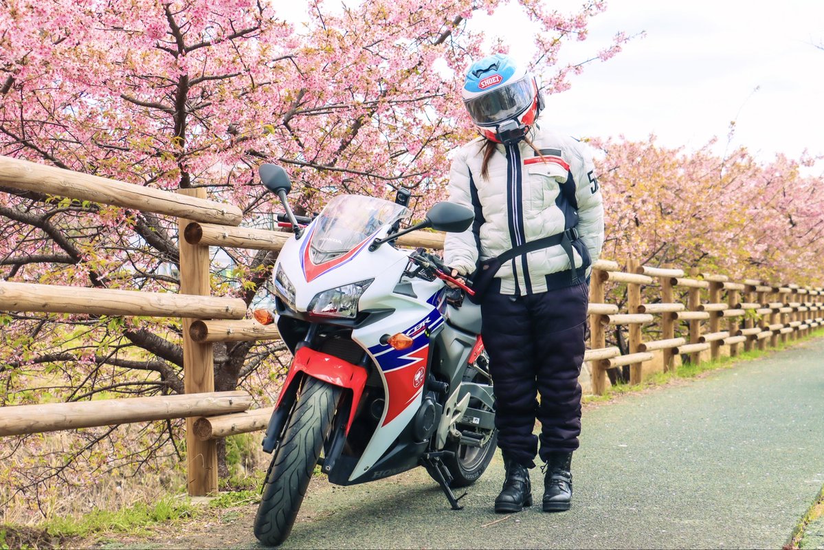 なつこ :p🧡🐵🇫🇷🐎🟡四国一周制覇 tweet media