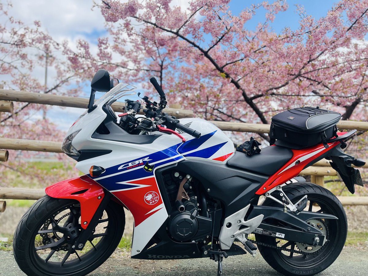 なつこ :p🧡🐵🇫🇷🐎🟡四国一周制覇 tweet media