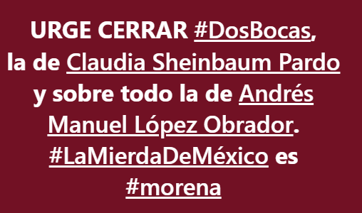 constanza luna tweet media