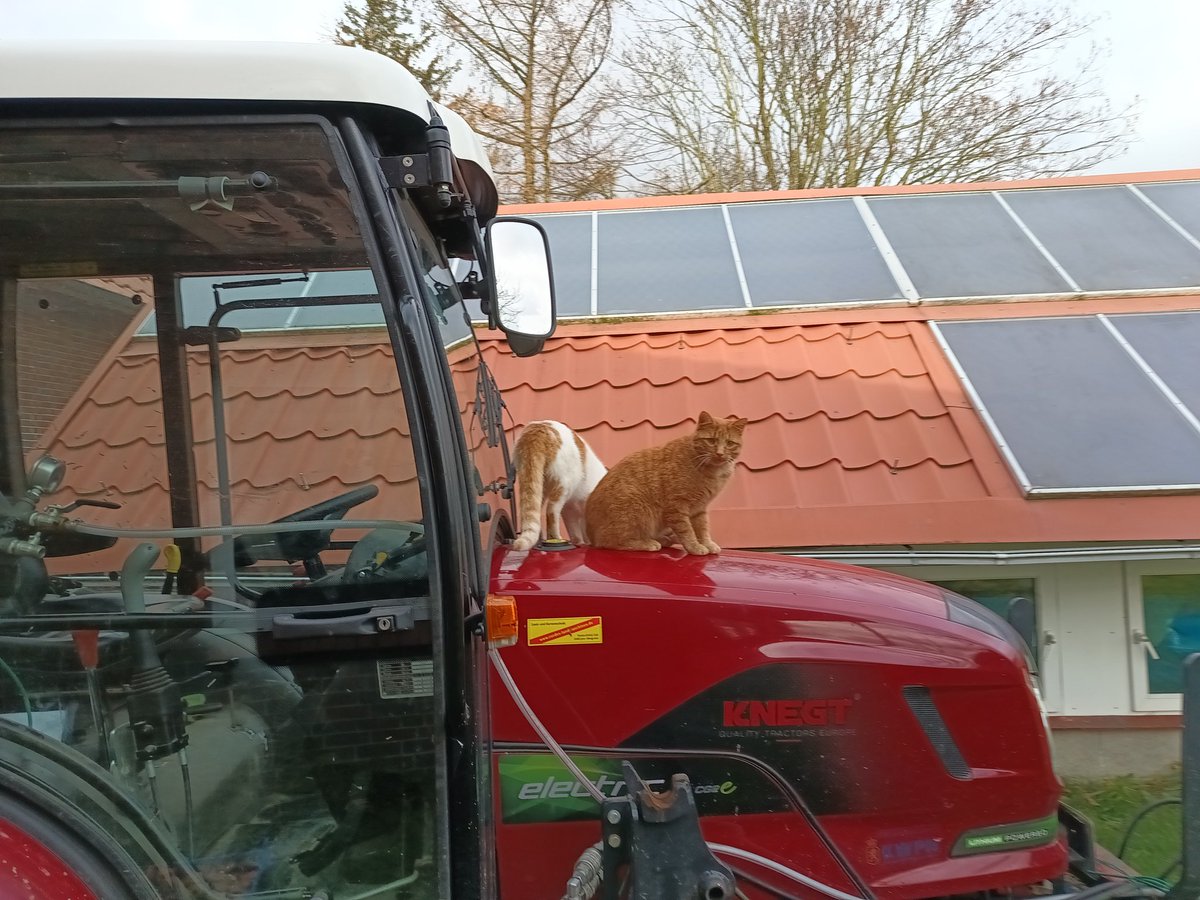 Jogi Fox tweet media