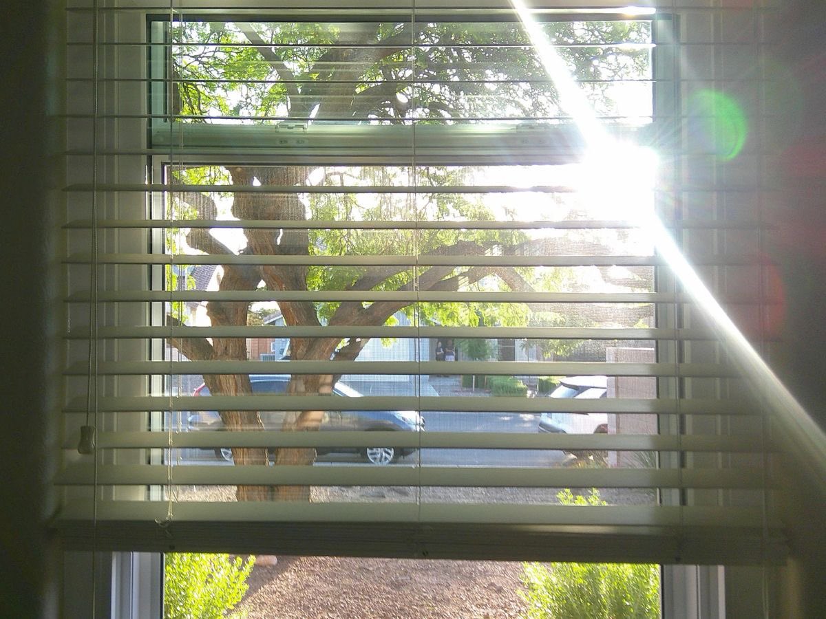 Joy. 🍀 tweet media