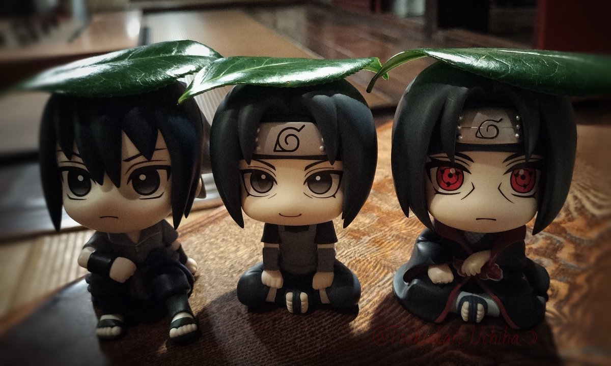 うちは月灯 tweet media