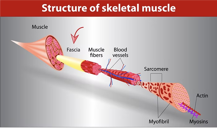 GetBetterBaseball tweet media
