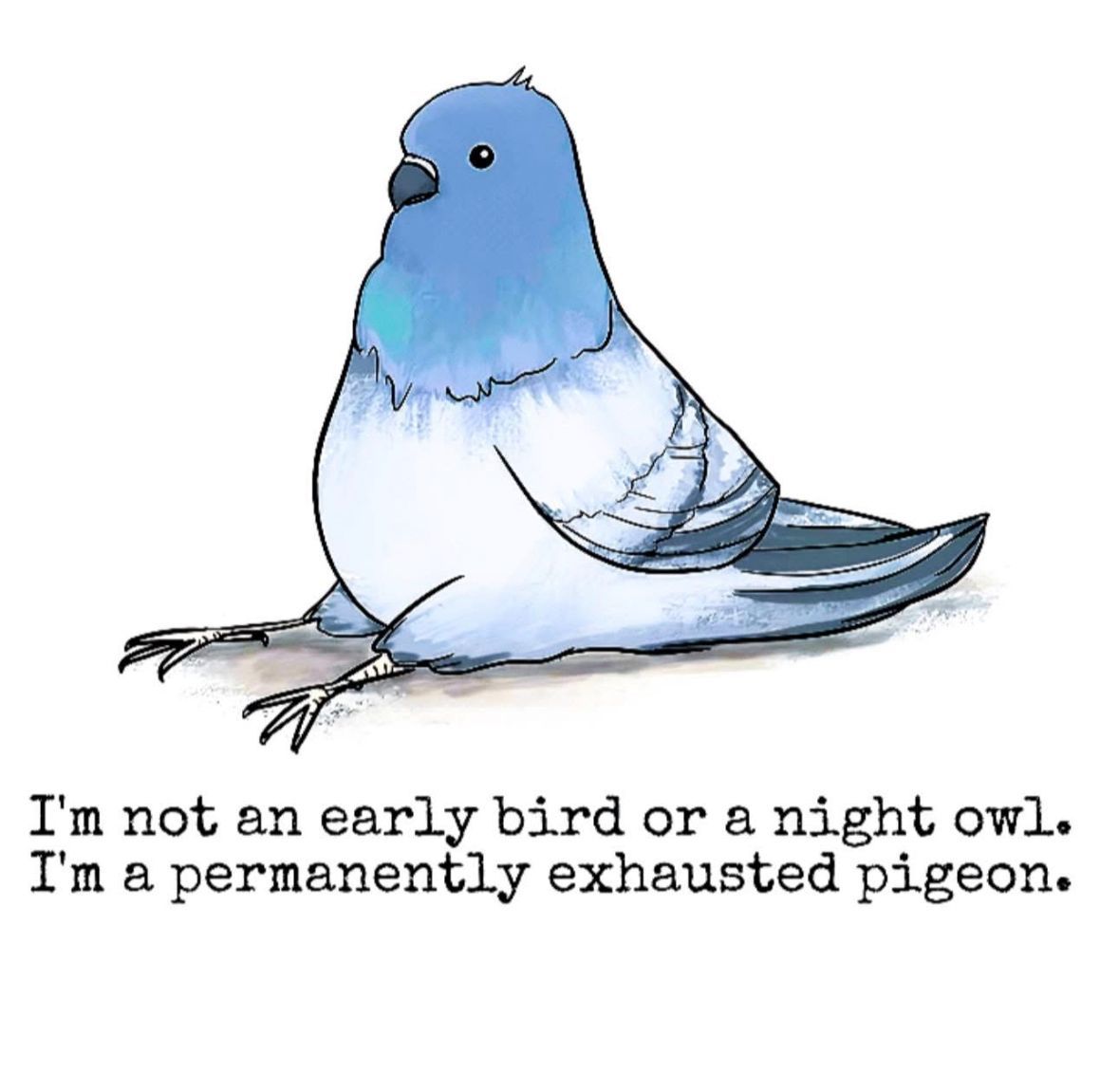 ADHD Memes tweet media