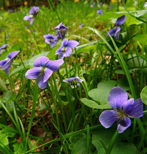 Mr. Perfumer tweet media