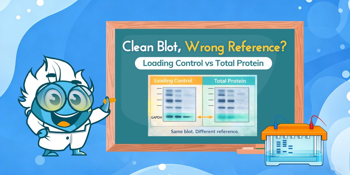 Boster Bio tweet media