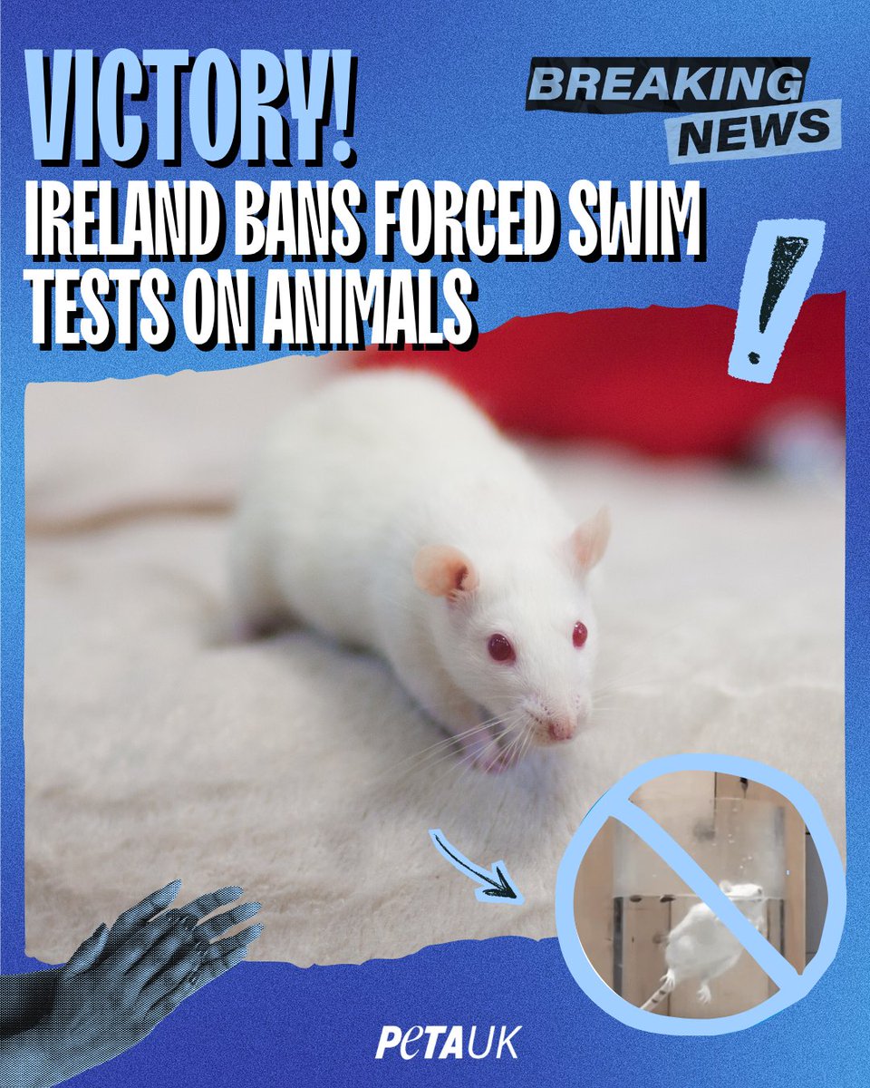 PETA UK tweet media