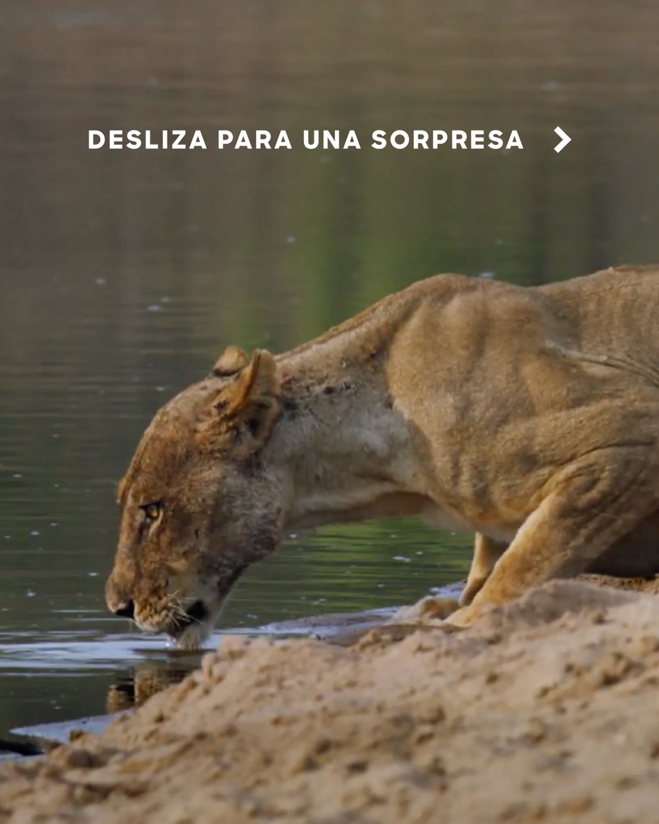 🌎 Discovery Channel tweet media