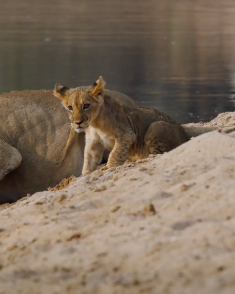 🌎 Discovery Channel tweet media