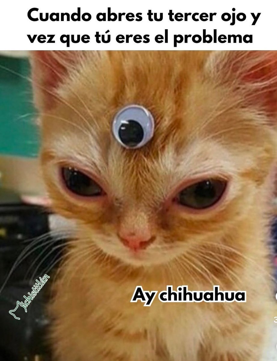 🍔 Hugo 🍔 tweet media