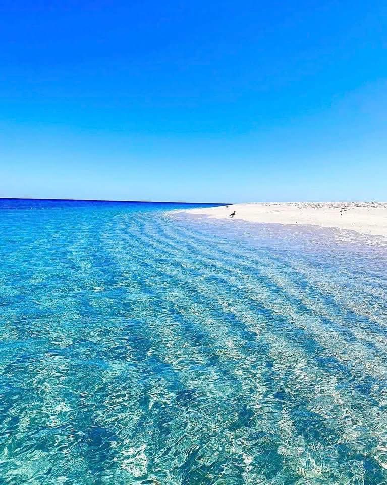 Secretaría de Turismo y Economía de BCS tweet media