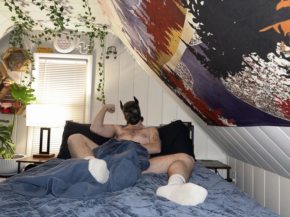 PupBooneXX's tweet photo. Wooooffff 😈 https://t.co/bKDtbrhwIu