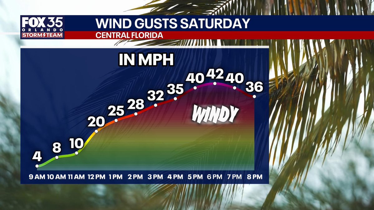 Noah Bergren tweet media