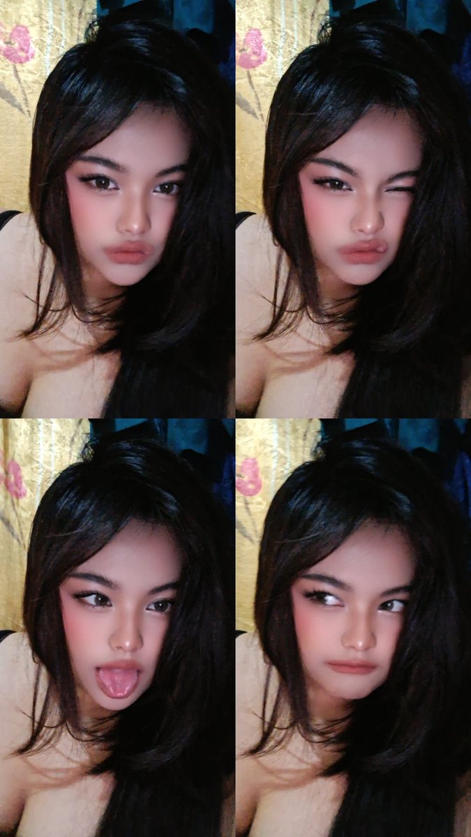 SeaBiscuit🍪 tweet media