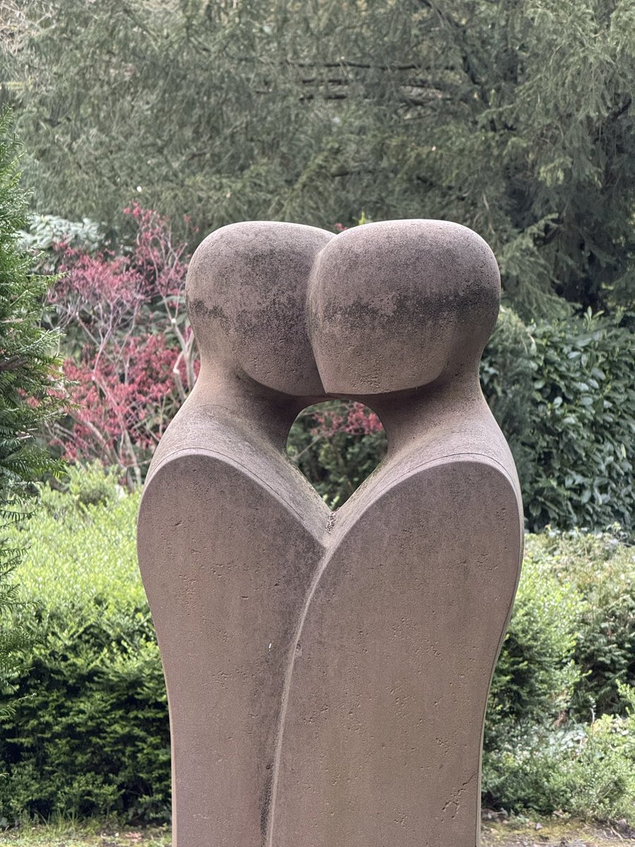 promemecillo tweet media