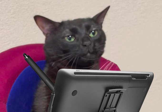 RodCoMan tweet media