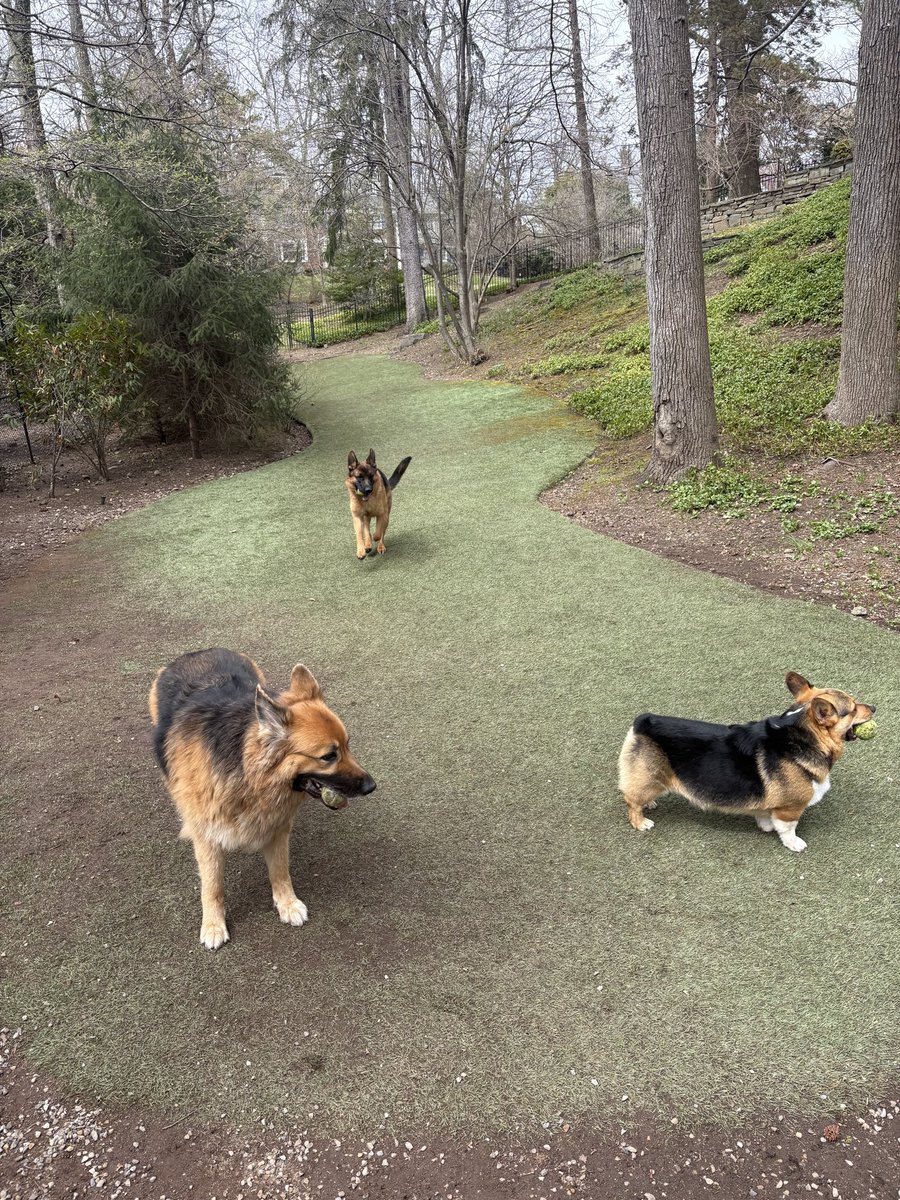 Joe Kernen tweet media