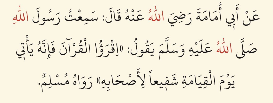 Sinan Gmc tweet media