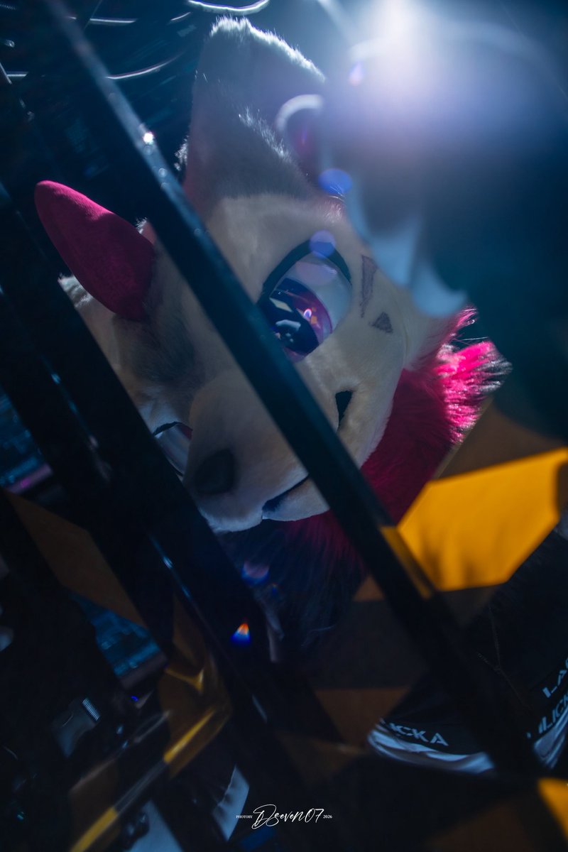 an1nstaller's tweet photo. 封锁
📷：@D_seveN07 
#FursuitFriday #fursuit #furry https://t.co/ue0Nba4ajO