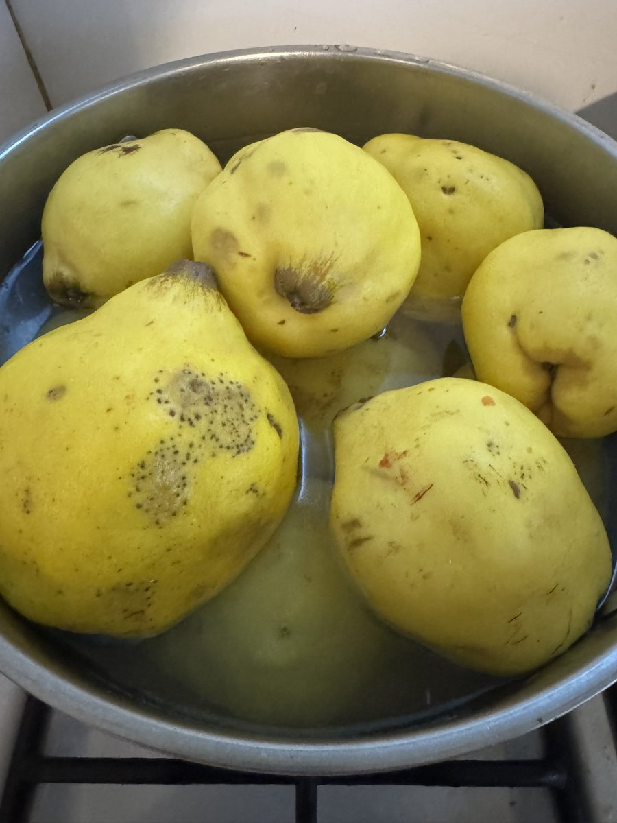 Huberto Bourlon “el Guiso” tweet media