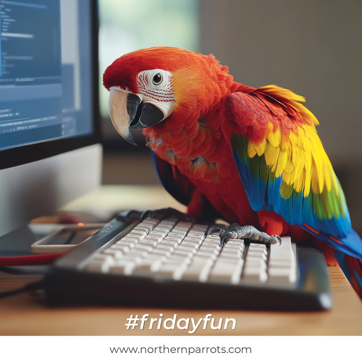 Northern Parrots tweet media