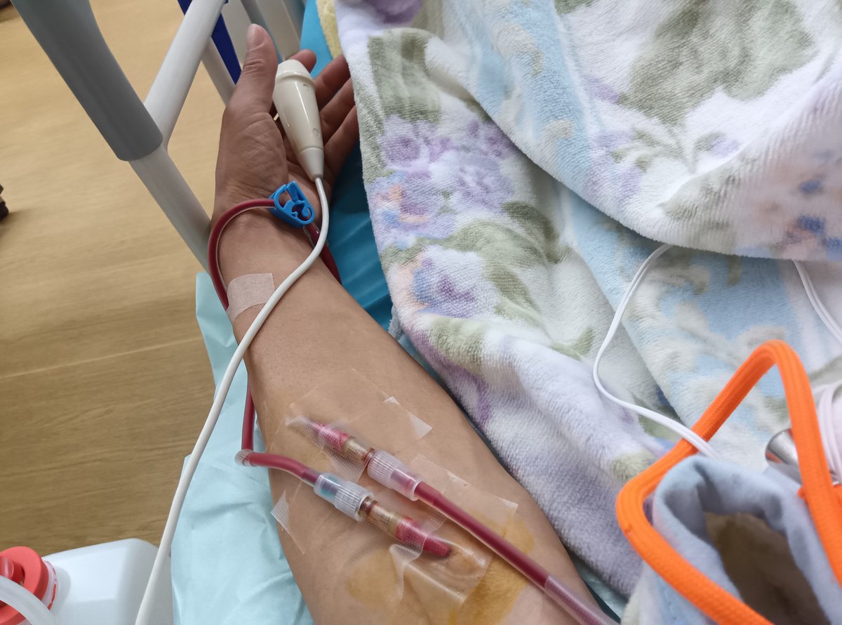 晴耕雨読のユニゾン tweet media