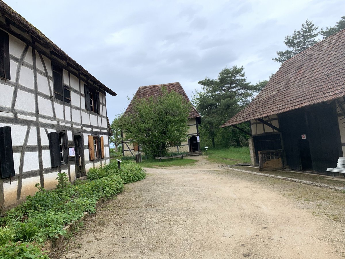 𓆩♡𓆪🇫🇷 Erin 🇵🇸 𓆩♡𓆪 tweet media