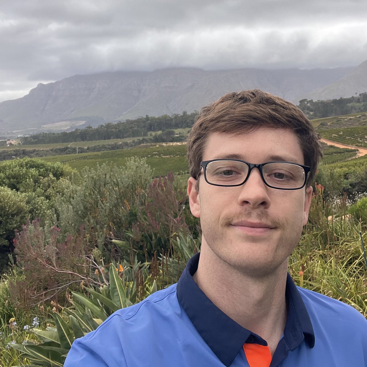 Harrison James 🛥️ tweet media