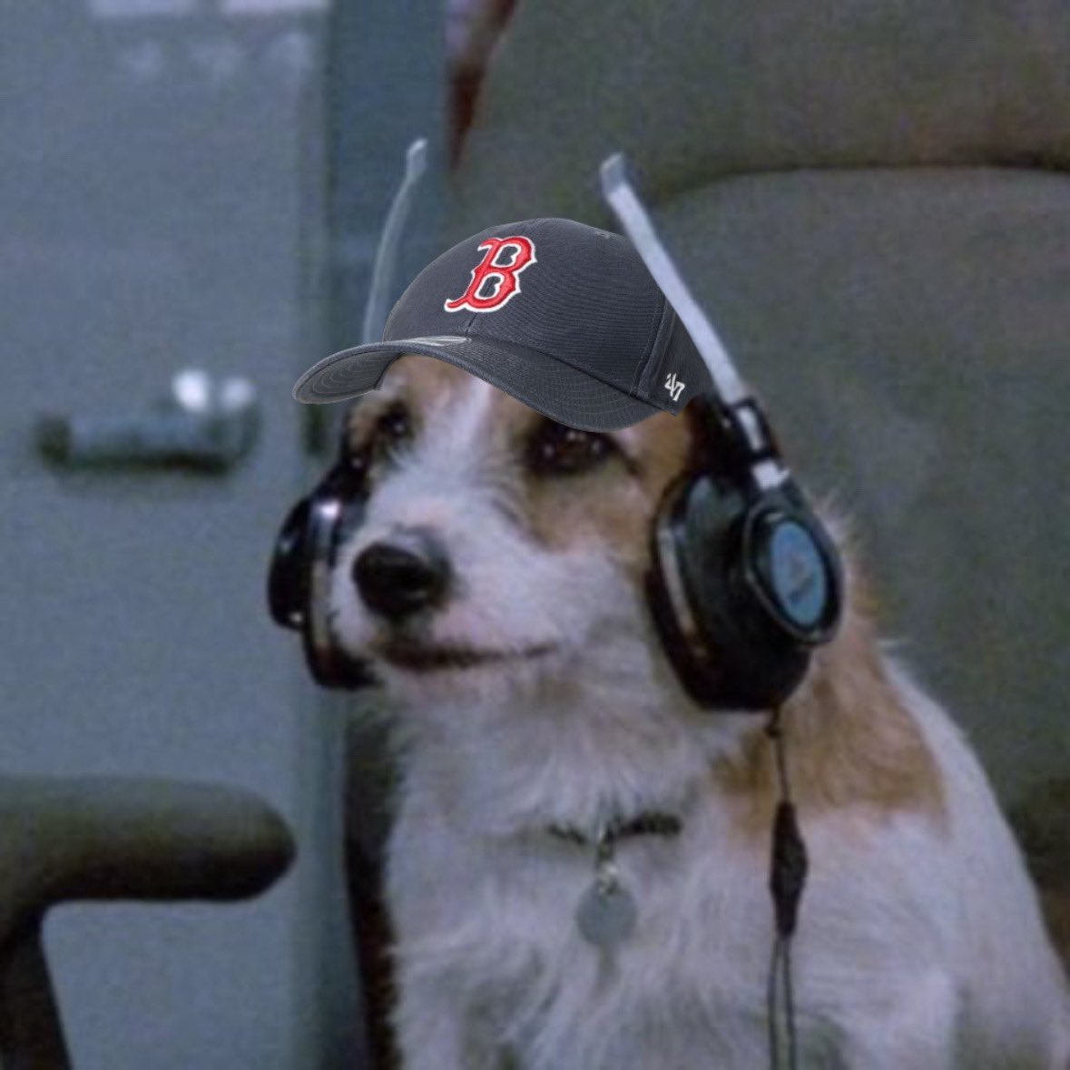 ash 🇦🇲 tweet media