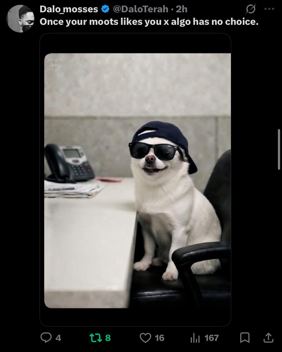 Dalo_mosses tweet media