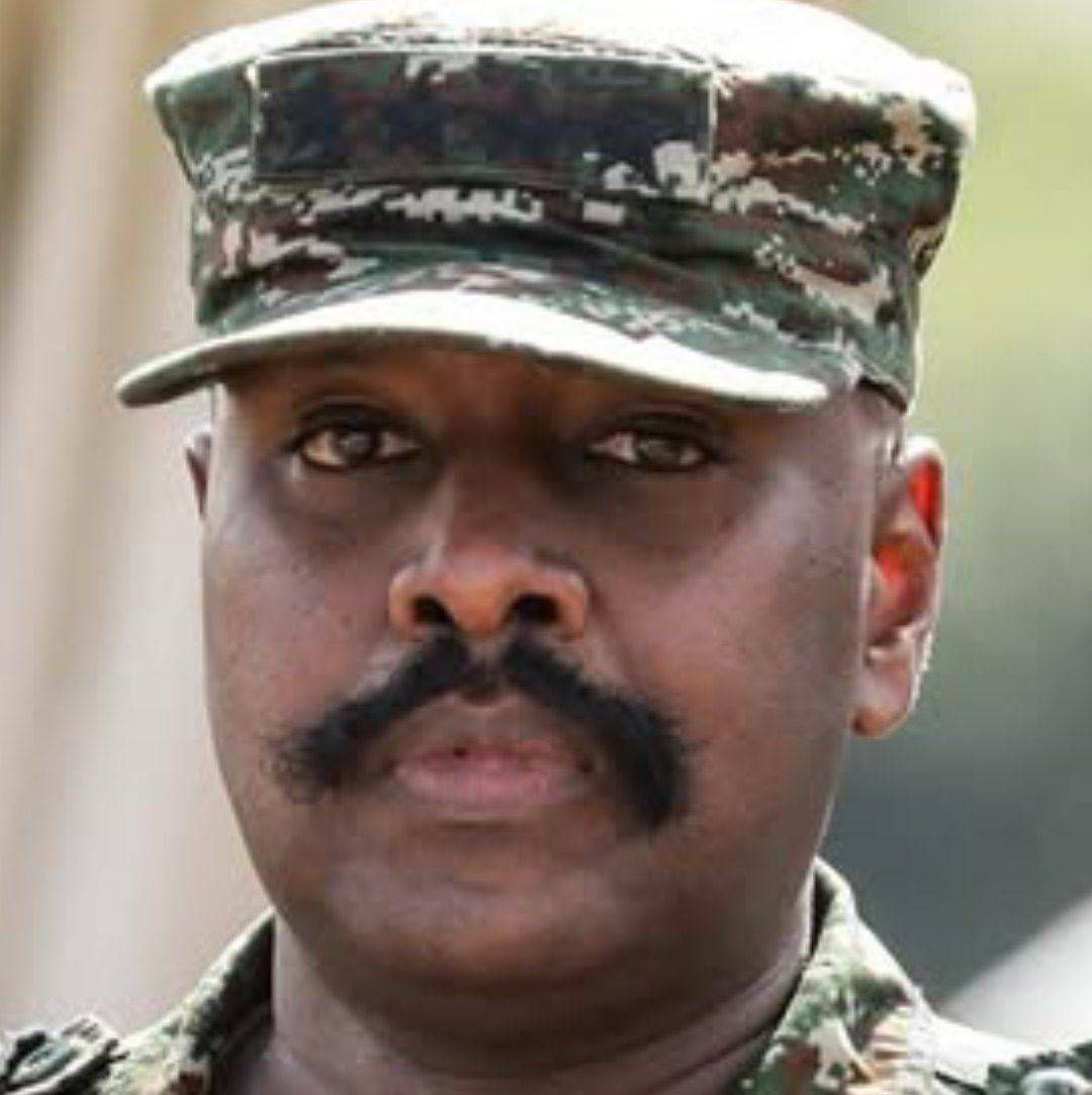 Mostafa Ghamari Vafa tweet media