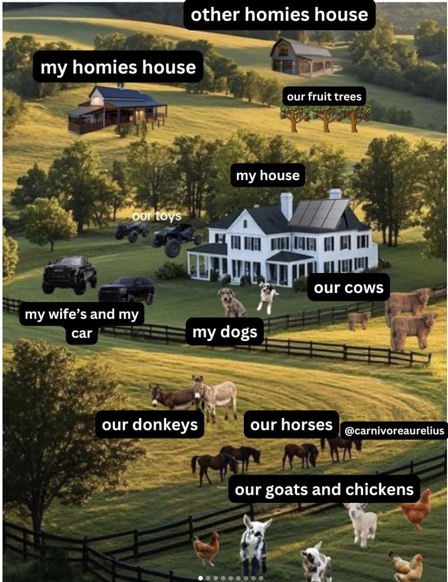 Carnivore Aurelius ©🥩 ☀️🦙 tweet media