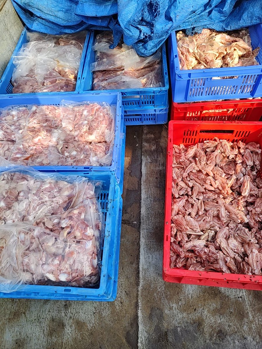 jsuryareddy's tweet image. The #HFAST Team of @hydcitypolice raided at the premises of SPR Chicken at Bharath Nagar, near Moosapet village, #Hyderabad and seized 352 Kgs of frozen #Spoiled #Chicken (wings, breast/ribs, and livers), stored in #Unhygienic conditions and supplied to local vendors for
