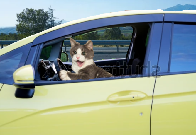 trackingvoid tweet media