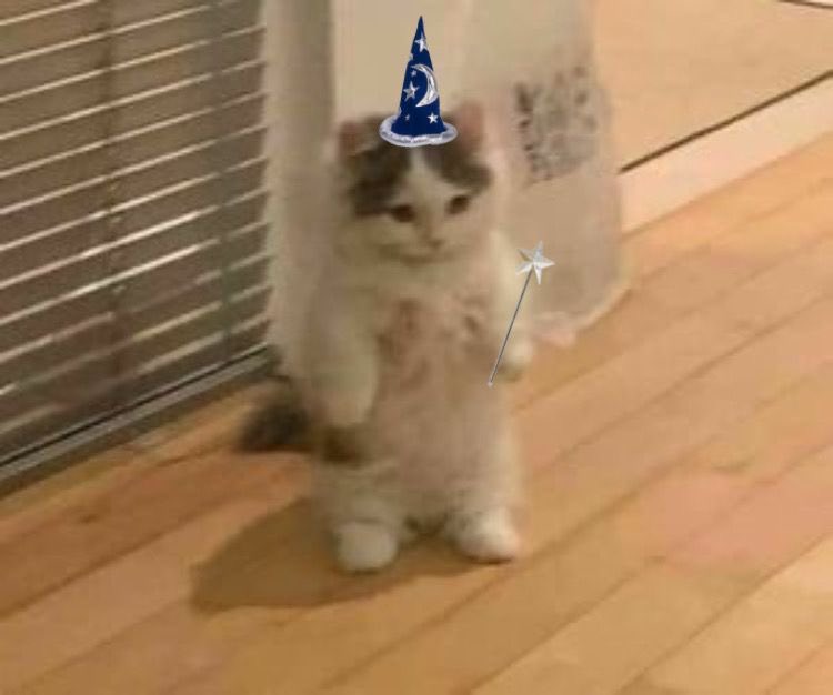 풀댕이 ꒰ᐢ. .ᐢ꒱(slow) tweet media