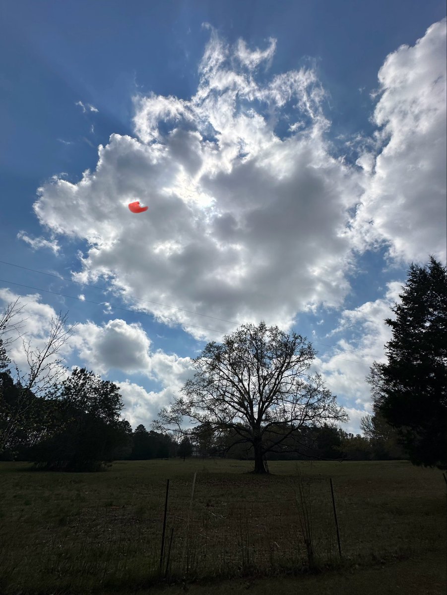 babygirl jackson tweet media