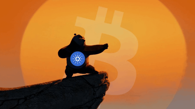 Andrew | Charms 🟠💎 tweet media