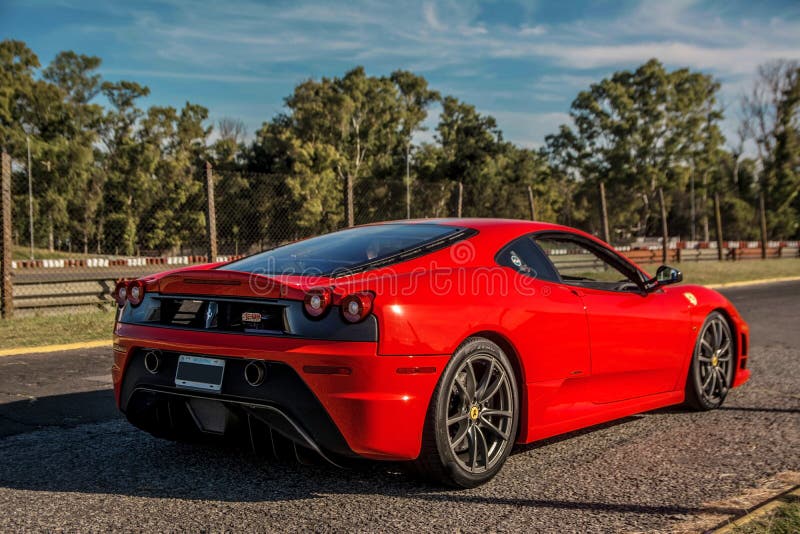 Don Gato tweet media