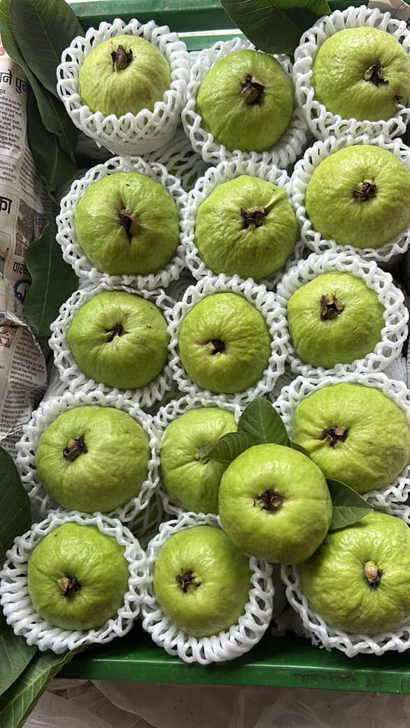 Hemant Mahajan:) tweet media