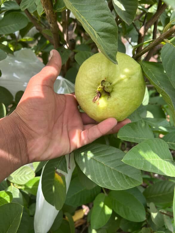 Hemant Mahajan:) tweet media