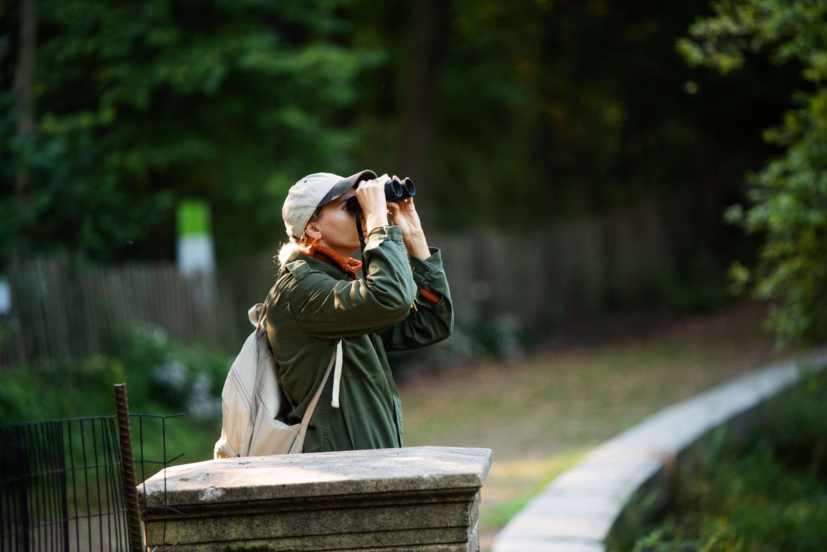 Prospect Park tweet media