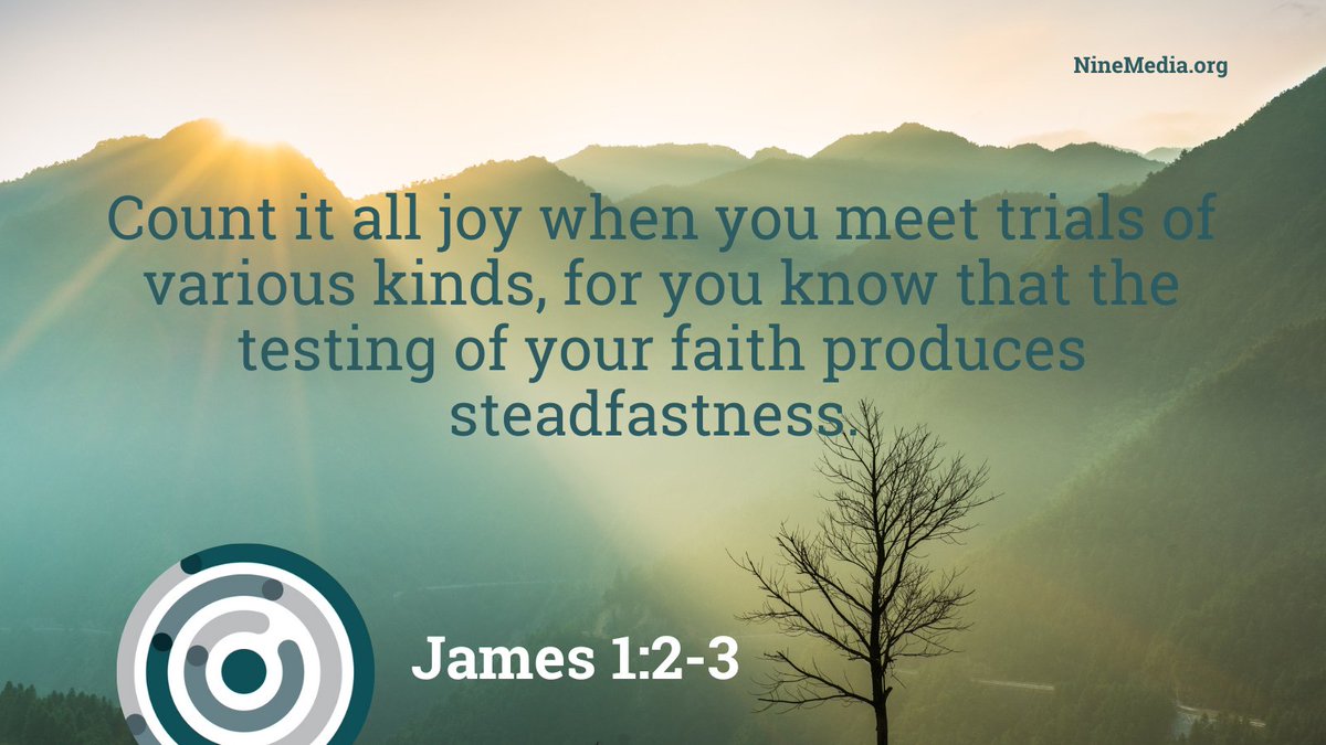 niNe. magazine tweet media