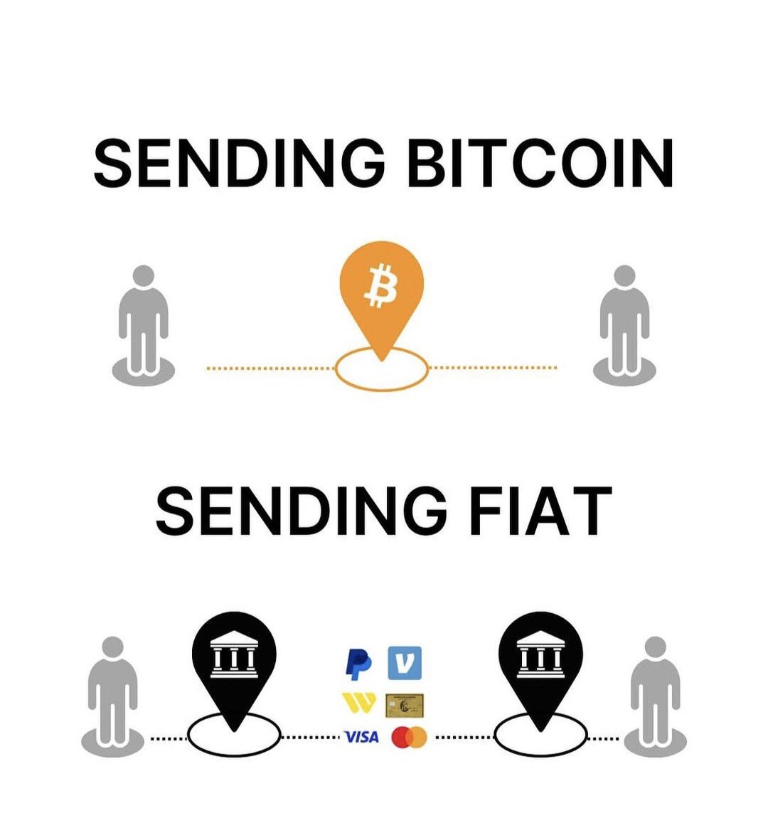 Bittr 🐷💰 tweet media