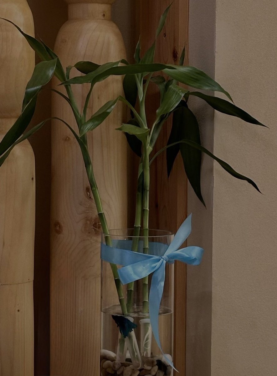 ☀︎︎ tweet media