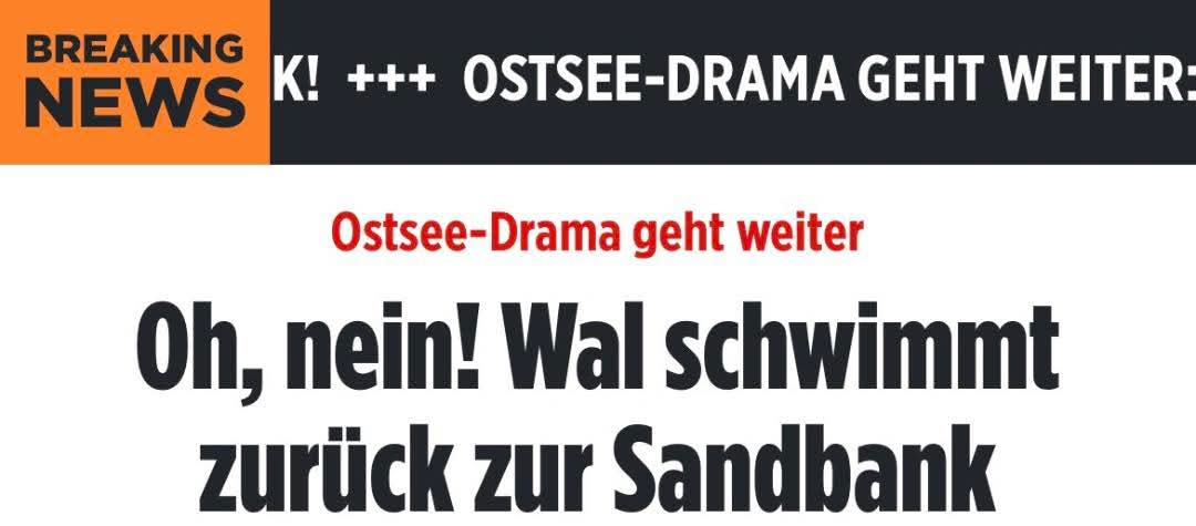 Dr. Jane Banane 🍌(Plagiatsfrei) tweet media